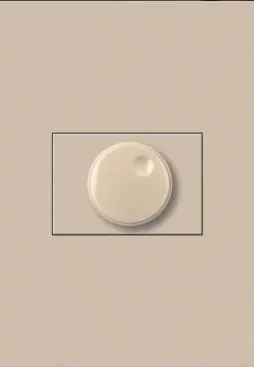 Producto tecnico