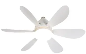 Producto tecnico