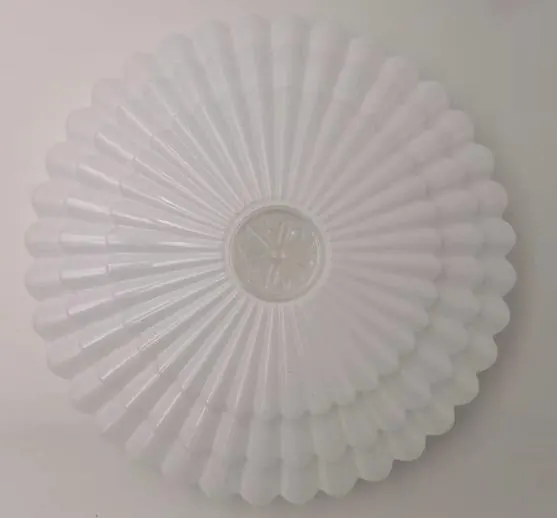 Producto tecnico