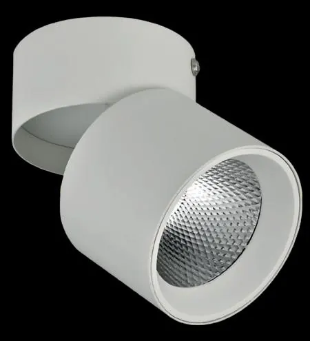 Producto tecnico